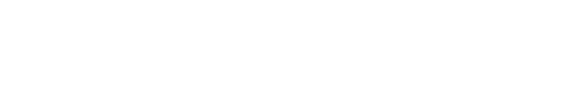 Logo anzalone bianco
